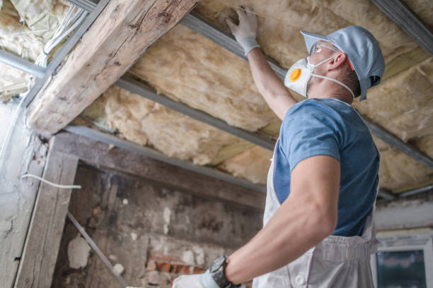 Best Residential Insulation in Auburn, KS